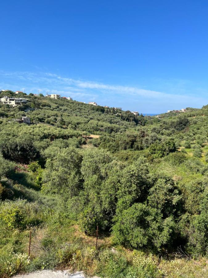 Eugene Apartment Chania  Zewnętrze zdjęcie